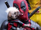 Ryan Reynolds kertoo tulevaisuudestaan Marvelin elokuvamaailmassa: &rdquo;Lopulta tulee viel&auml; yksi Deadpool &rdquo;