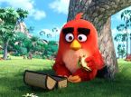 Angry Birds taistelemaan YK:n kanssa ilmastonmuutosta vastaan