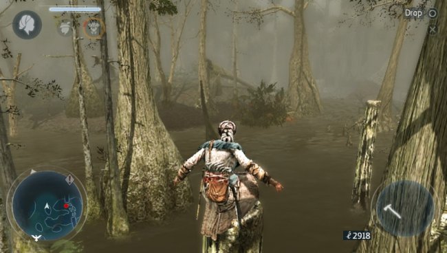 Assassin's Creed III: Liberation