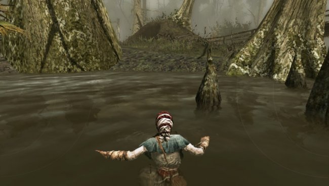 Assassin's Creed III: Liberation