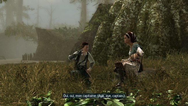 Assassin's Creed III: Liberation