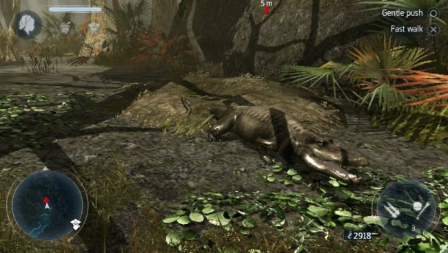 Assassin's Creed III: Liberation