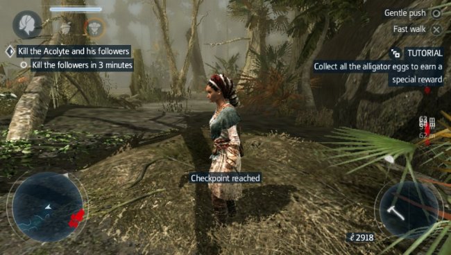 Assassin's Creed III: Liberation