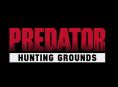 Predator: Hunting Ground PS4:lle vuonna 2020