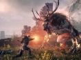 The Witcher 3: Wild Hunt oli melkein nimeltään jokin ihan muu