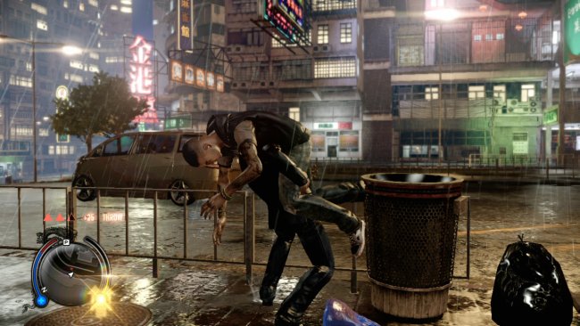 Sleeping Dogs