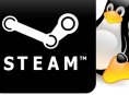 Steamin Linux-beta laajenee